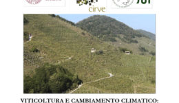 Programma-WS-SOI-Viticoltura-Aprile-2012-0