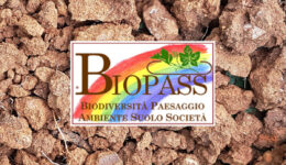 biopass-sata