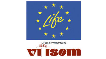 life-vitisom-sata