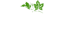 Sata Studio Agronomico Società Benefit