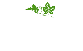 Sata Studio Agronomico